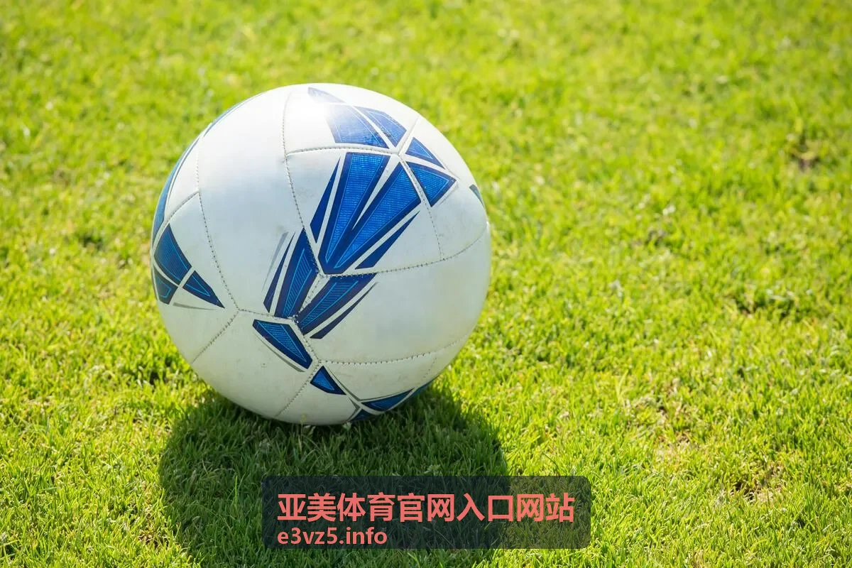 网球大满贯冠军点回顾封面